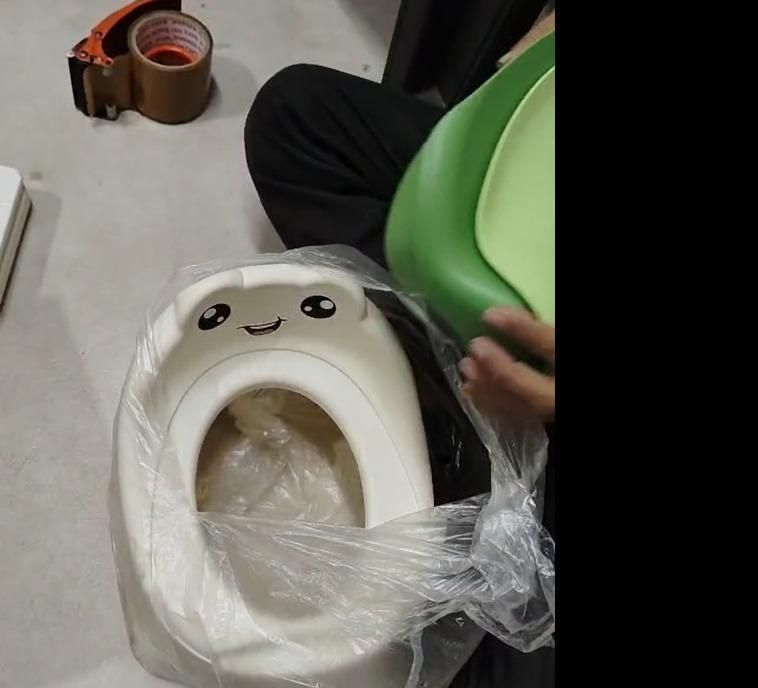 Potty Training Seat